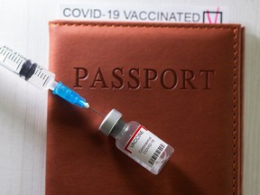 A syringe and a vial labelled "COVID-19 vaccine" are placed on a passport with printed words "COVID-19 vaccinated" in this illustration taken April 27, 2021.