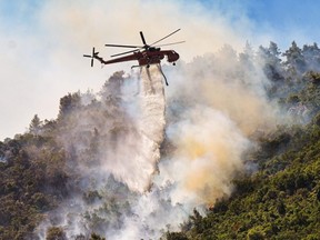 A helicopter drops water over fire in the Thrakomacedones area, in northern Athens, on Saturday, Aug. 7, 2021.