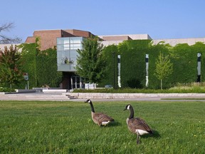 York University, Toronto.