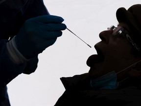 FILE: Medical staff collects a swab sample.