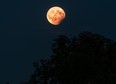 A partial lunar eclipse on August 7, 2017 in Regensburg, Germany.