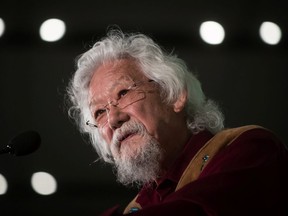 Environmental activist David Suzuki