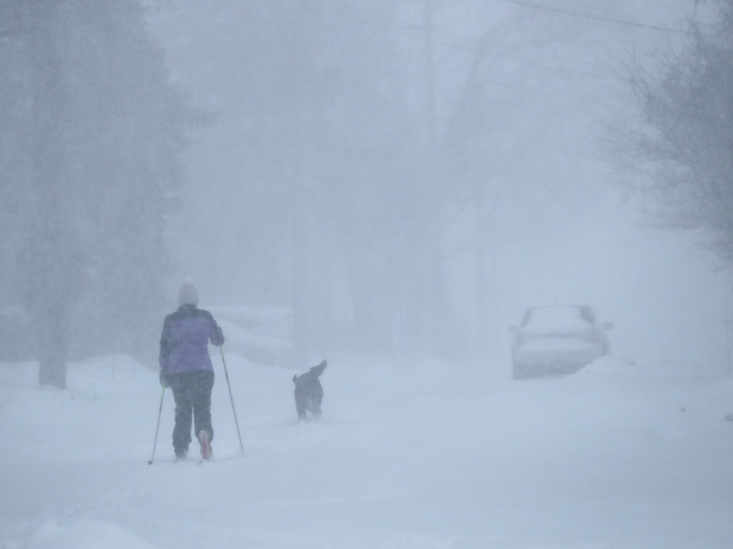 FORECAST Winter storm warning, high of 8 C then rain changing to heavy