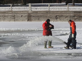 Crews were preparing the ice on Monday for skating on the Rideau Canal in Ottawa.