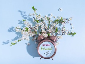 It's time to spring our clocks forward!