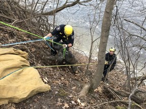 Firefighters clamber up a steep embankment in Beryl Gaffney Park after rescuing a trapped dog Thursday.
