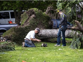 Ottawa and the surrounding area were hit with a destructive storm Saturday. Clean up was well underway with hydro, community members and first responders on Sunday, May 22, 2022. People were out cleaning up some downed trees in the Stittsville area.