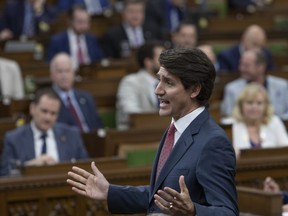 Prime Minister Justin Trudeau rises during Question Period, Wednesday, May 18, 2022 in Ottawa.