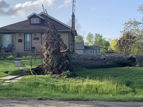 A massive toppled tree on a residential street in Ajax, Ont., provides a glimpse of the destruction caused by the powerful storm that swept across the province on Saturday, May 21, 2022.