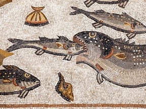 A detail of a restored Roman-era mosaic after it was put on display at its original site in Lod, now an Israeli city where an archeological centre has been inaugurated.