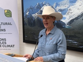 Marie-Claude Bibeau, Minister of Agriculture and Agri-food, speaks during a press conference announcing announcing $16 million in funding for Living Laboratories in Alberta during an Alberta Beef Producer?s summit at the Hyatt Regency in Calgary on Thursday, July 14, 2022.