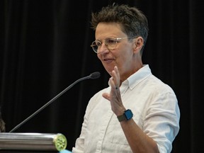 Ottawa Coun. Catherine McKenney speaks during an Association of Municipalities Ontario session on housing and homelessness on Tuesday, Aug. 16, 2022.