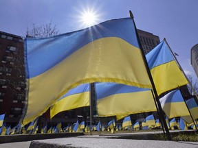 The sun peers over hundreds of blue and yellow flags of Ukraine flying in support of the Ukrainian people, Wednesday, March 16, 2022, in Boston.