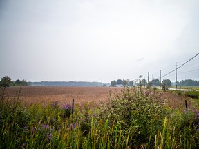 The view from Farmers Way and Thunder Road in Ottawa, Sunday, Sept. 18, 2022.