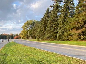 The Queen Elizabeth Driveway runs along the Rideau Canal in Ottawa.