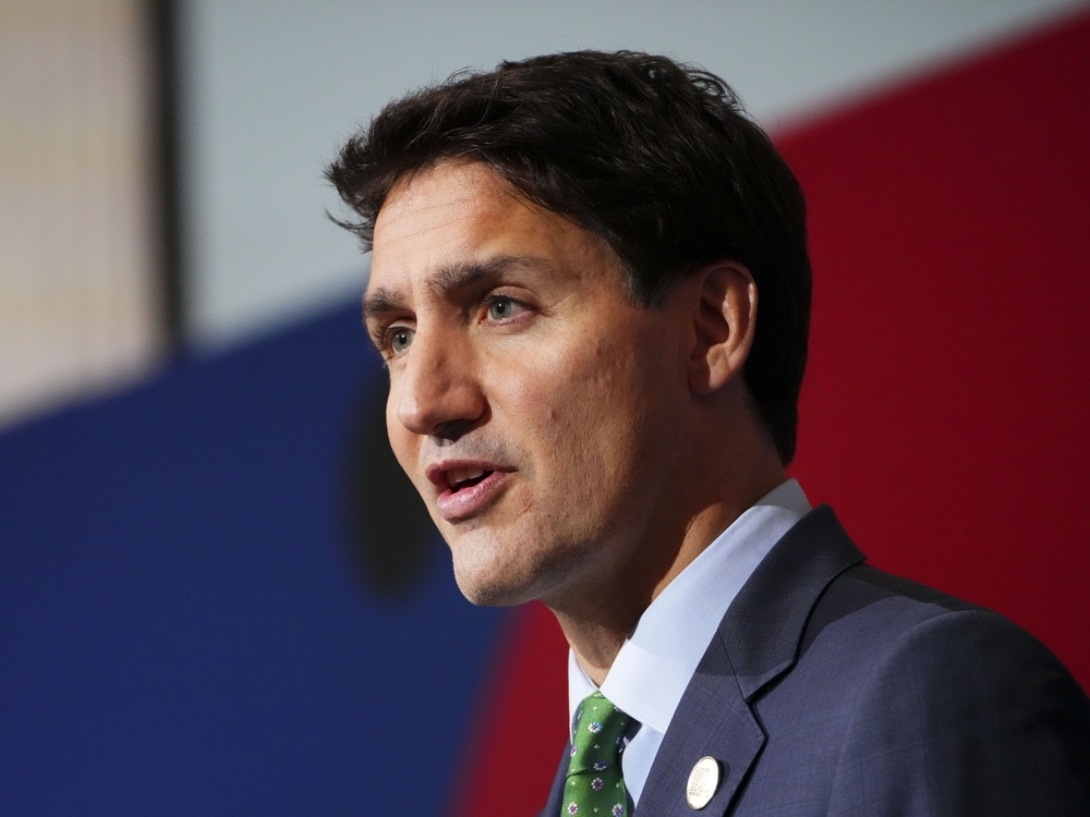 FUREY FACTOR: Trudeau Liberals go after critics of Internet censorship law