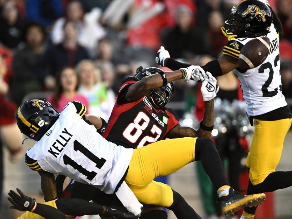 Hamilton Tiger-Cats Montreal Alouettes CFL Playoffs East semifinal 