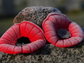 Frosty poppies sit atop a tombstone on Remembrance Day at the National Military Cemetery in Ottawa on Thursday, Nov. 11, 2021.