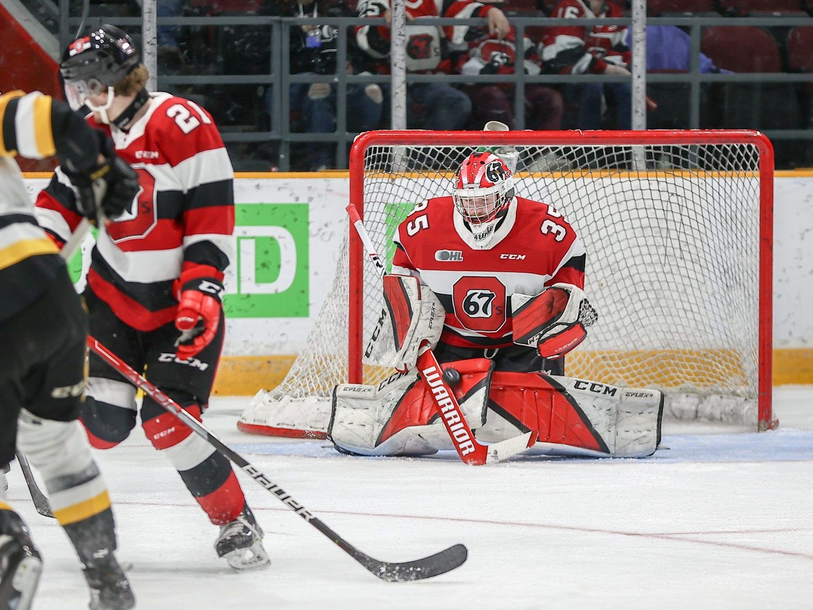 Les 67's D'Ottawa Survivent Au Rallye Tardif Des Bulldogs Pour ...