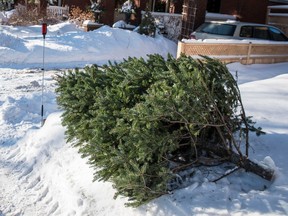 Files: A used Christmas tree is put out for the garbage