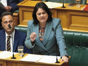 New Zealand Minister for Research, Science and Innovation, and Associate Minister of Health Ayesha Verrall speaks about the smokefree legislation at its 3rd reading at Parliament in Wellington on December 13, 2022.