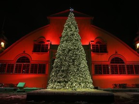 File photo/ Lansdowne Park Christmas tree in Ottawa
