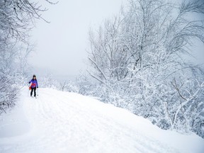 File photo: Saturday, December 17, 2022. Cross-country skiers were getting the first few glides of the season of the Ski Heritage East trail by the Ottawa River.