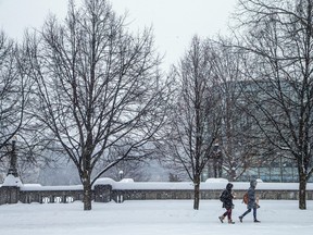 Ottawa was digging out from another dump of snow, Sunday, Jan. 29, 2023.