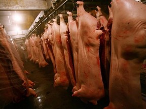 A pig -- stunned and about to be butchered -- regained consciousness and killed a slaughterhouse worker while flailing around. Pictured: A worker checks slaughtered pork at a united meat machining workshop on Aug. 3, 2007 in Nanjing of Jiangsu Province, China.