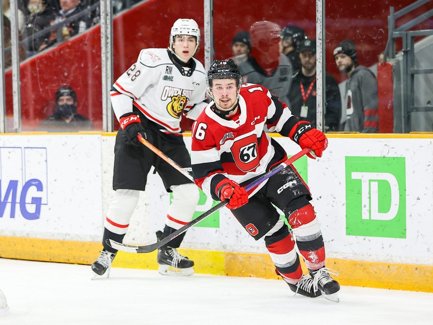 STARRING ROLE Logan Morrison a hit in Ottawa 67s debut after big OHL trade Ottawa Sun