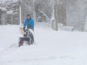 File: A man snowplows his driveway after an overnight snowstorm in December 2022.