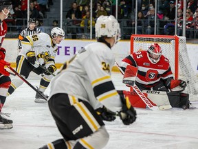 Max Donoso of the Ottawa 67's makes the save against the Sarnia Sting at the TD Place arena on Sunday, Jan. 15, 2023 in Ottawa.
