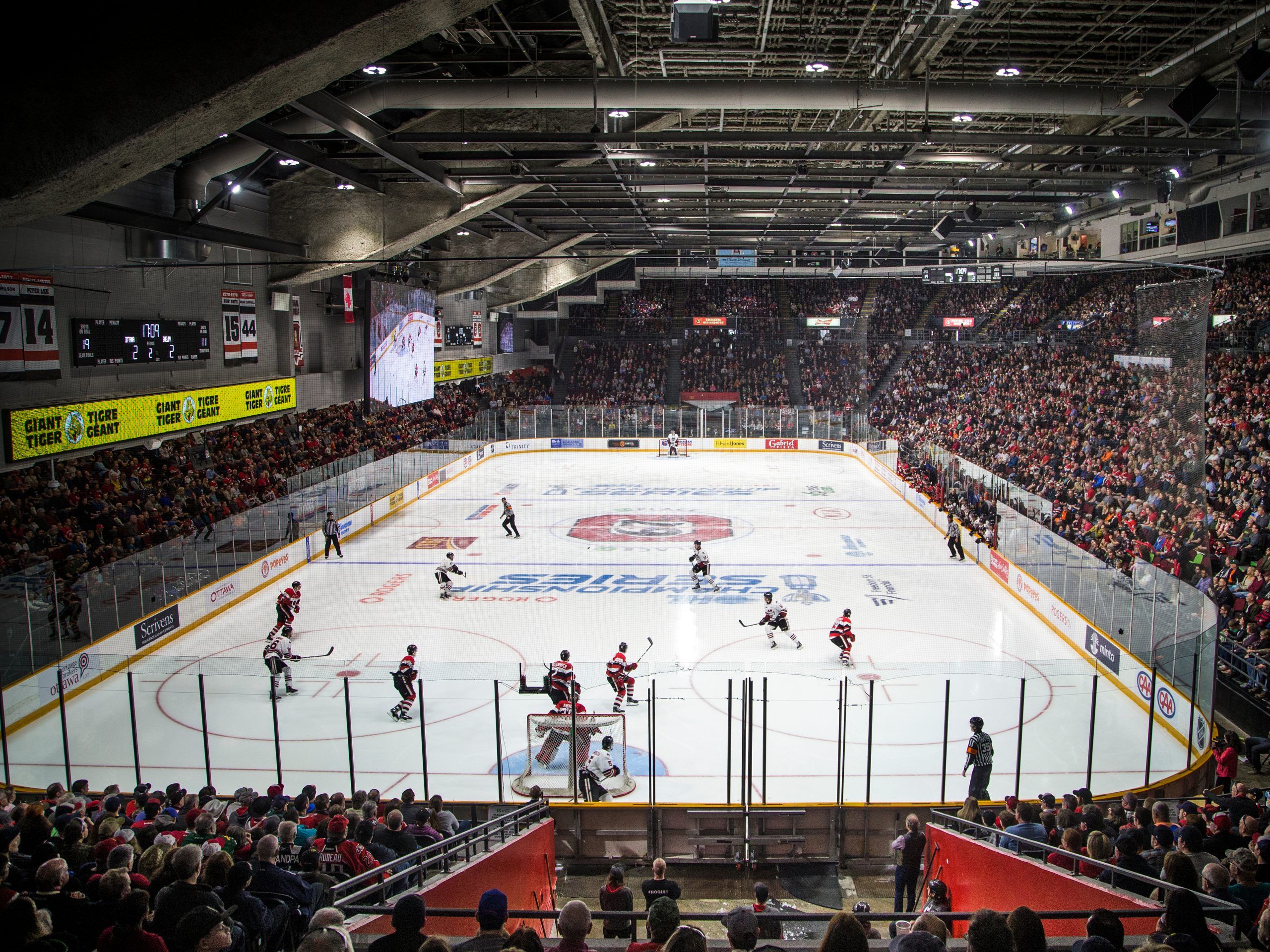 GeeGees get the nod to stage 2025 hockey nationals Ottawa Sun