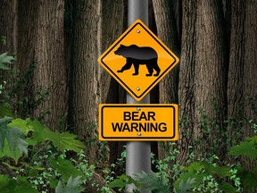 Bear warning in the woods signage or camping danger sign as a scary predator as a risk for Bears in the wild with 3D illustration elements.