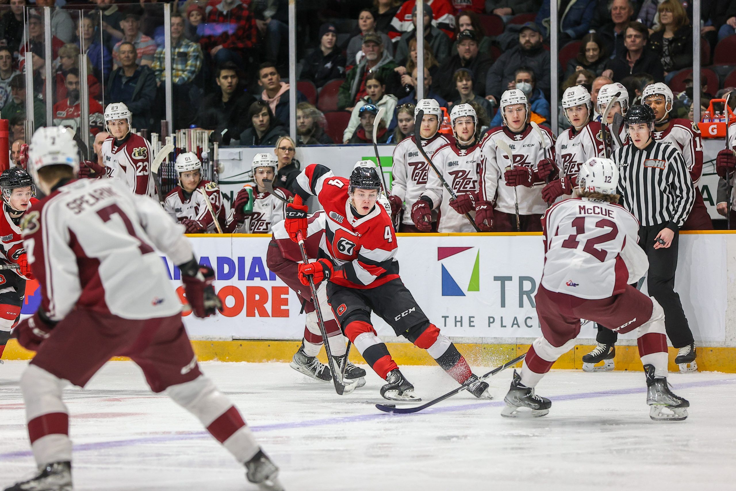 Black Friday Deals Available at the Petes Souvenir Store - Peterborough  Petes