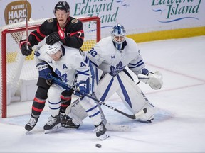 Senators’ Brady Tkachuk battles for position with Maple Leafs’ Morgan Rielly on Saturday.