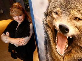 Wildlife photographer Michelle Valberg poses for a photo with her work at a new wolves exhibition at the Museum of Nature.