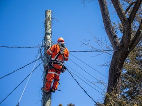 Crews with Holland Power Services work to cut a live power line that was down in a backyard of a home in the McKellar Heights area on Saturday.