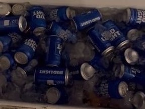 Cooler filled with cans of Bud Light, ice and water.