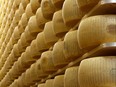 Wheels of cheese on the racks of a maturing storehouse