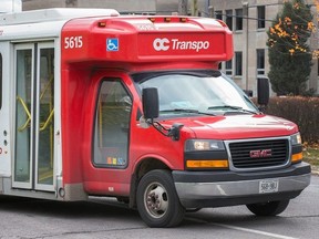 OC Transpo's pilot project for on-demand bus service will make use of some of its existing fleet of Para Transpo minibuses on weekends.