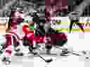 Wings’ Alex DeBrincat tries to jam a loose puck into the net behind Senators goalie Joonas Korpisalo on Saturday. 