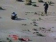 This shot off a NASA live feed shows NASA safety team members approaching the Osiris-Rex asteroid sample's return craft sitting in the Utah desert at Dugway, Utah, Sept. 24, 2023.