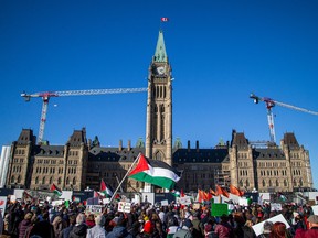 Supporters of Palestine rally on Parliament Hill