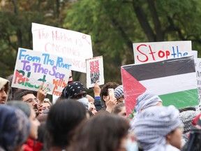 Hundreds of pro-Palestinian supporters, mainly students, descended upon Queens Park from TMU