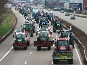 Farmers drive their tractors during a protest called by local branches of major farmer unions FNSEA and Jeunes Agriculteurs, blocking the A35 highway with tractors near Strasbourg, eastern France, on Jan. 30, 2024.
