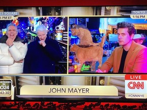 John Mayer had fans in hysterics when he rang into CNN's New Year's celebration from a cat cafe in Tokyo.