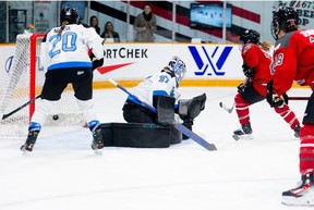 Toronto forward Sarah Nurse and goalie Erica Howe react as a shot from Ottawa forward Brianne Jenner (19) enters the net during the first period at TD Place Arena on Tuesday, Jan. 23, 2024.