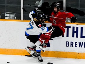 Ottawa forward Brianne Jenner is checked into the boards by Toronto forward Emma Maltais during the second period at TD Place Arena on Tuesday, Jan. 23, 2024.