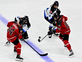 Ottawa forward Lexie Adzija (88) fights for control of the puck as forward Fanni Garát-Gasparics (94) and Toronto defenders Renata Fast (14) and Jocelyne Larocque (3) look on during the second period at TD Place Arena on Tuesday, Jan. 23, 2024.